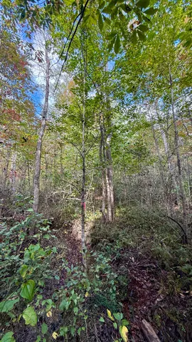 $86,500 | 0 Owl Hollow Road, Unit LOT 3, Palmer, TN 37365