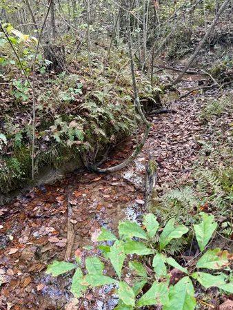 $86,500 | 0 Owl Hollow Road, Unit LOT 3, Palmer, TN 37365