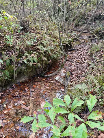 $86,500 | 0 Owl Hollow Road, Unit LOT 3, Palmer, TN 37365