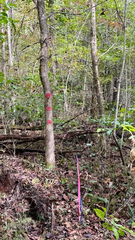 $86,500 | 0 Owl Hollow Road, Unit LOT 3, Palmer, TN 37365