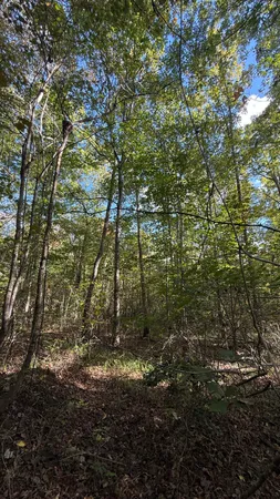 $86,500 | 0 Owl Hollow Road, Unit LOT 3, Palmer, TN 37365