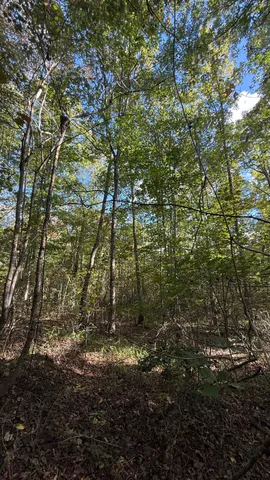 $86,500 | 0 Owl Hollow Road, Unit LOT 3, Palmer, TN 37365