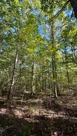 $86,500 | 0 Owl Hollow Road, Unit LOT 3, Palmer, TN 37365