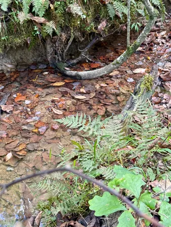 $86,500 | 0 Owl Hollow Road, Unit LOT 3, Palmer, TN 37365