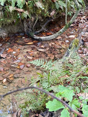 $86,500 | 0 Owl Hollow Road, Unit LOT 3, Palmer, TN 37365