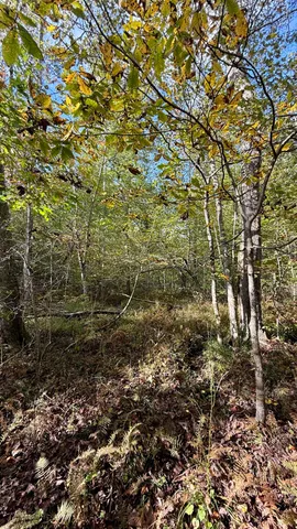 $86,500 | 0 Owl Hollow Road, Unit LOT 3, Palmer, TN 37365