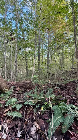 $86,500 | 0 Owl Hollow Road, Unit LOT 3, Palmer, TN 37365