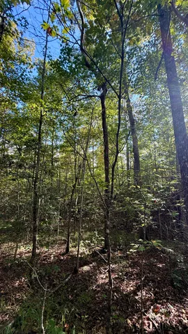$86,500 | 0 Owl Hollow Road, Unit LOT 3, Palmer, TN 37365