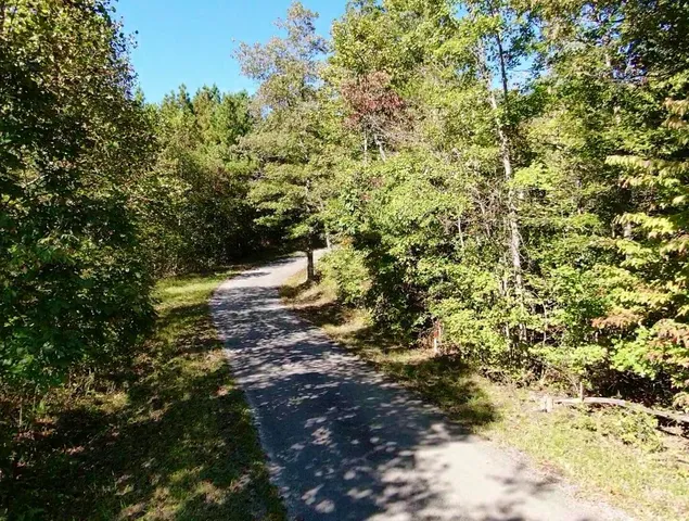 $86,500 | 0 Owl Hollow Road, Unit LOT 3, Palmer, TN 37365