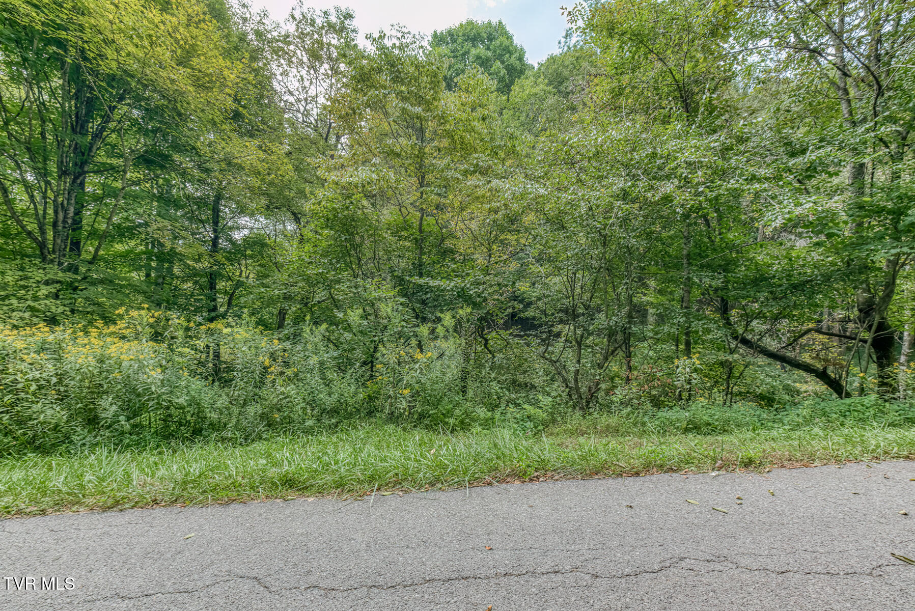 9.95-acres Heaton Ridge Road Roan Mountain, TN 37687 - Photo 5 of 19 TBD Heaton Ridge Rd-5