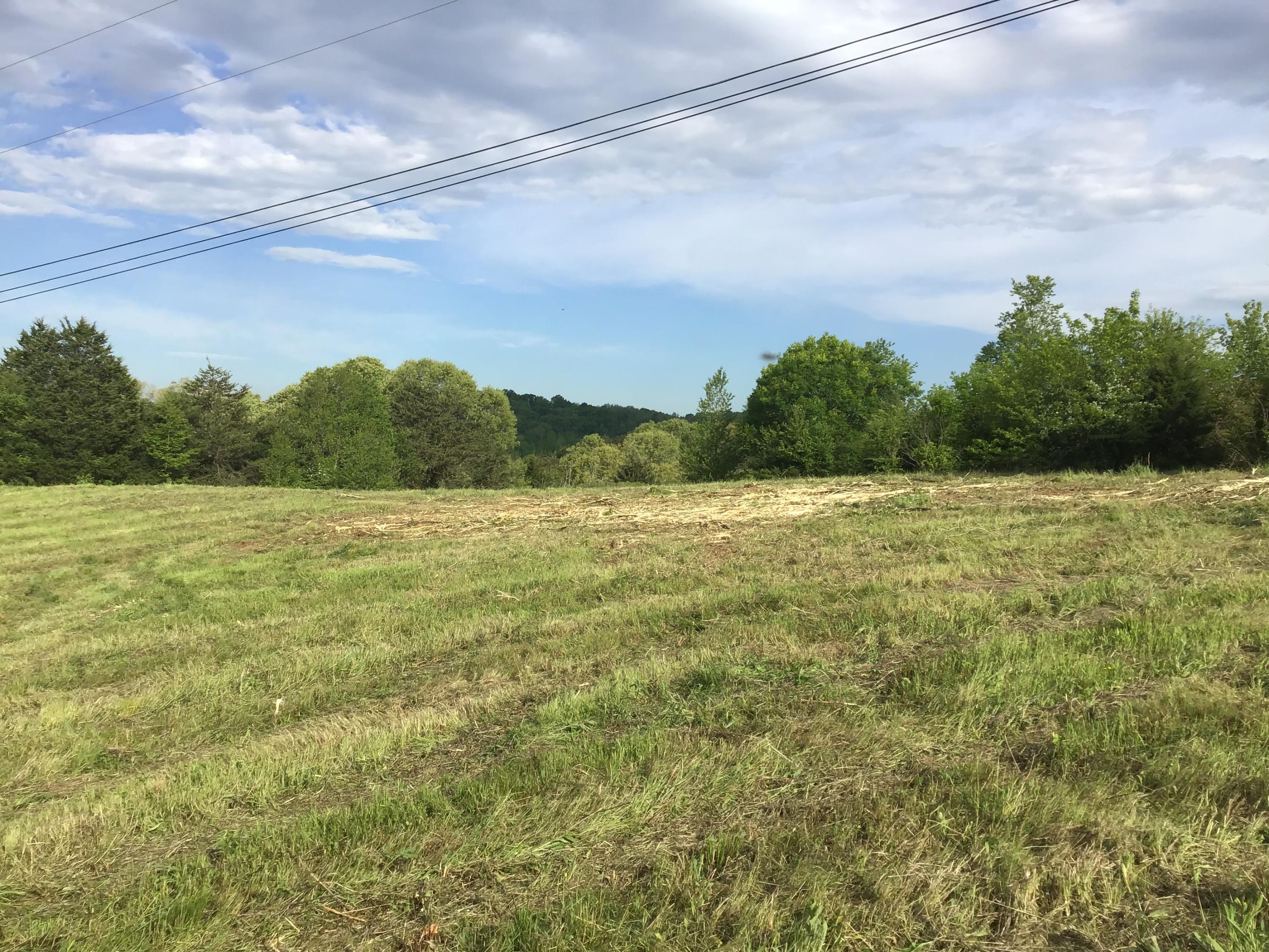 5 Pates Hill Road, Unit 5 Mosheim, TN 37818 - Photo 3 of 10 B4E4DBF5-48ED-4533-A2B6-C029ACF2E1C2