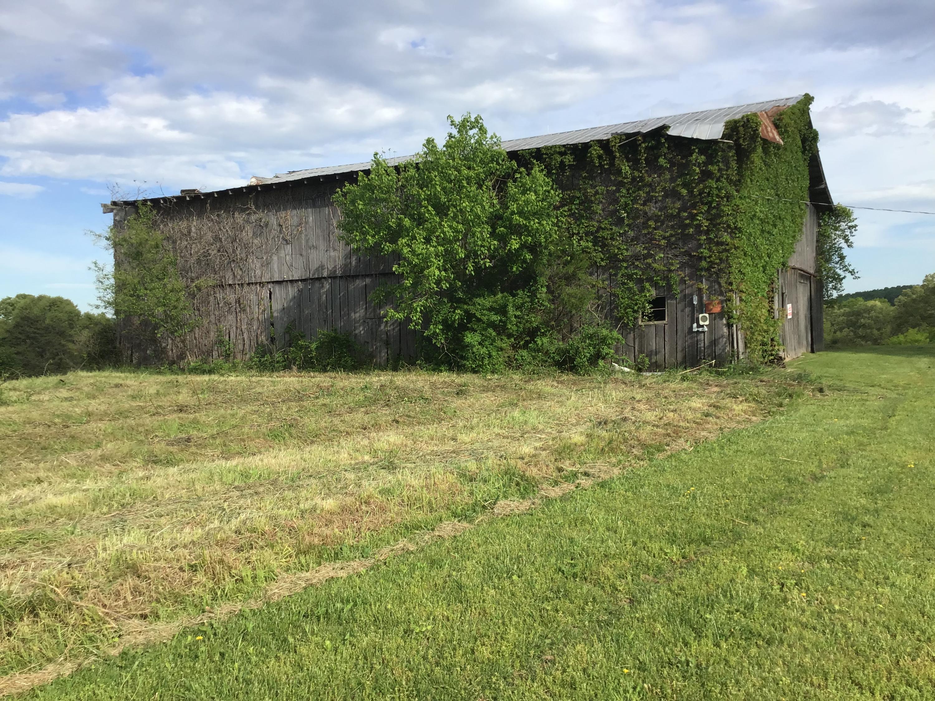 5 Pates Hill Road, Unit 5 Mosheim, TN 37818 - Photo 4 of 10 DBFCCE60-5083-4932-80A1-11D7DCA848DB