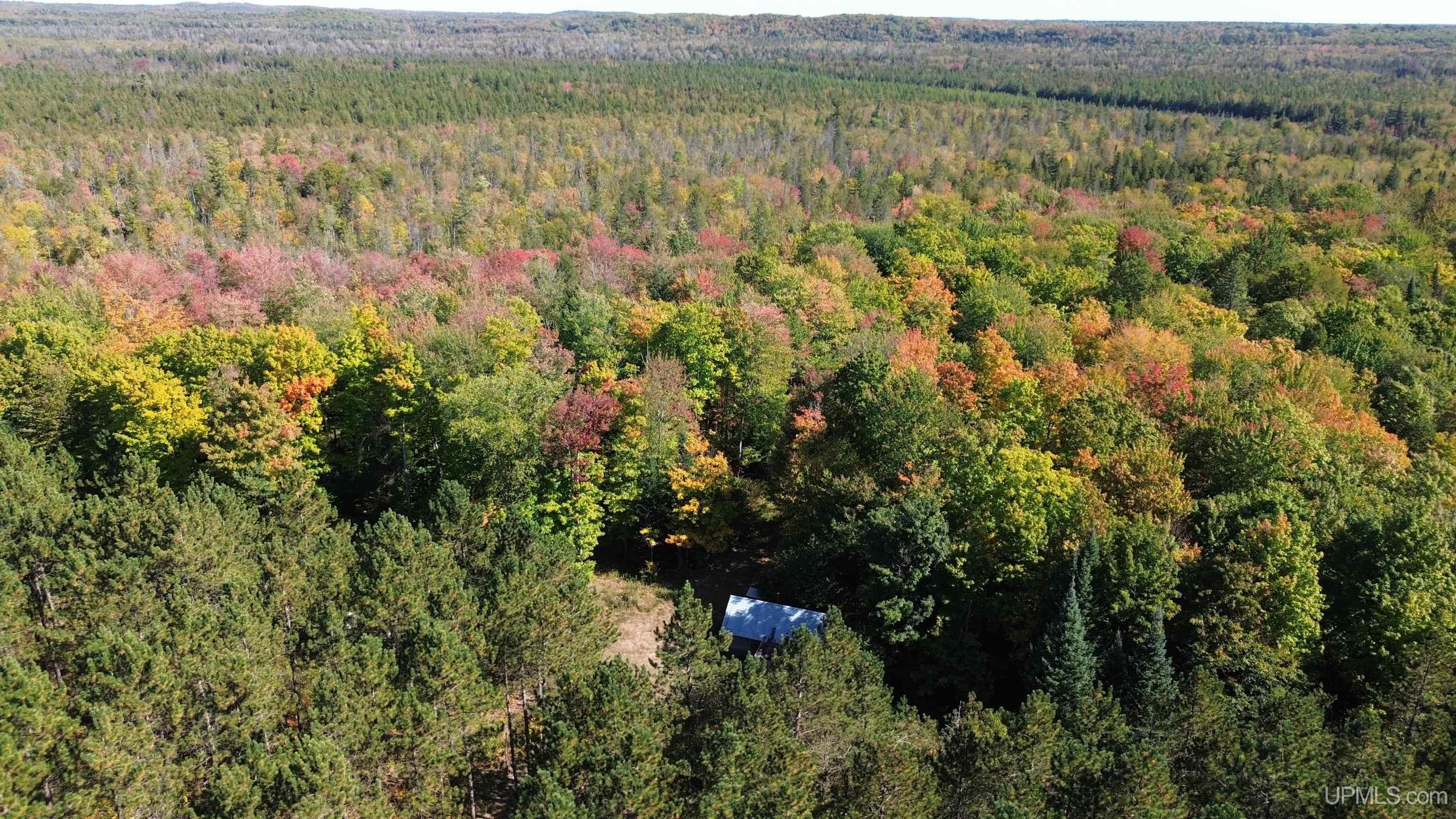 Off Usfs Trail, Unit 2440 Wetmore, MI 49895 - Photo 6 of 34