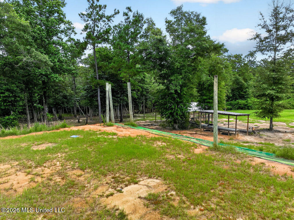 94 Desoto Road McHenry, MS 39561 - Photo 35 of 37 94DesotoRd.S-35