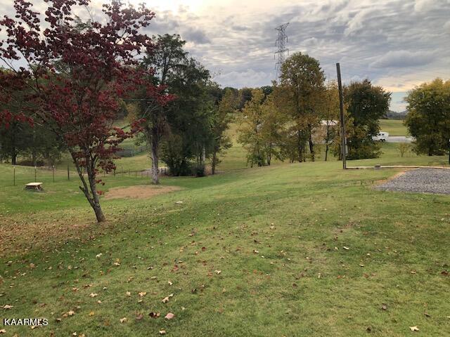 2009 Witt Road White Pine, TN 37890 - Photo 22 of 27 IMG_9990