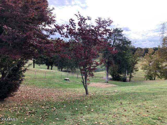 2009 Witt Road White Pine, TN 37890 - Photo 5 of 27 IMG_9989