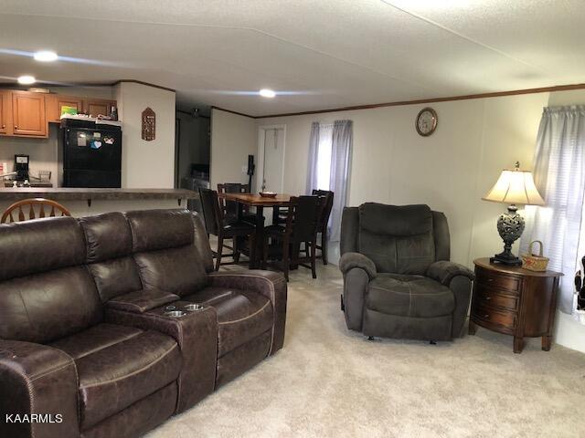 2009 Witt Road White Pine, TN 37890 - Photo 7 of 27 IMG_0006