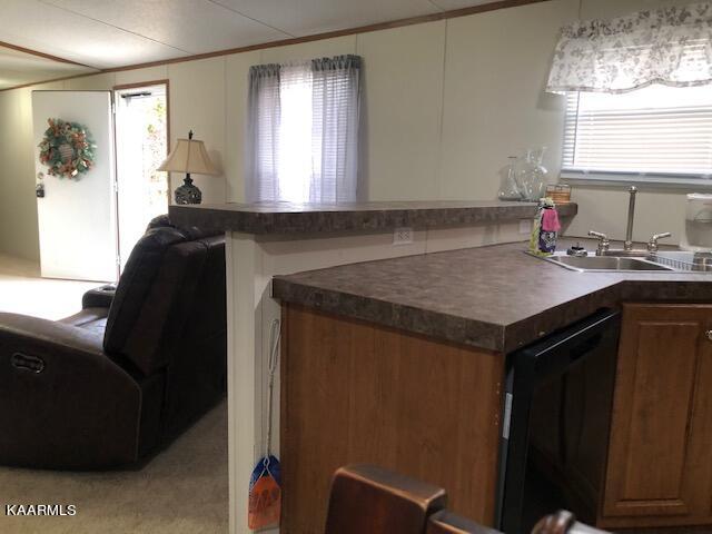 2009 Witt Road White Pine, TN 37890 - Photo 10 of 27 IMG_0017