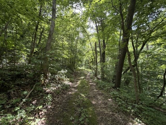 35537 Log House Lane Prairie du Chien, WI 53821 - Photo 33 of 36