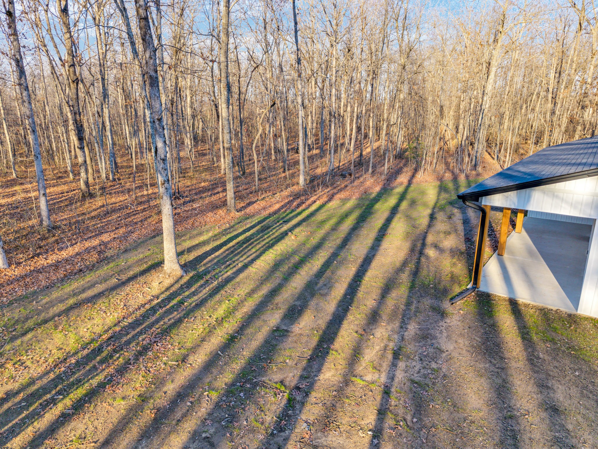 833 Dripping Springs Road Monterey, TN 38574 - Photo 11 of 45