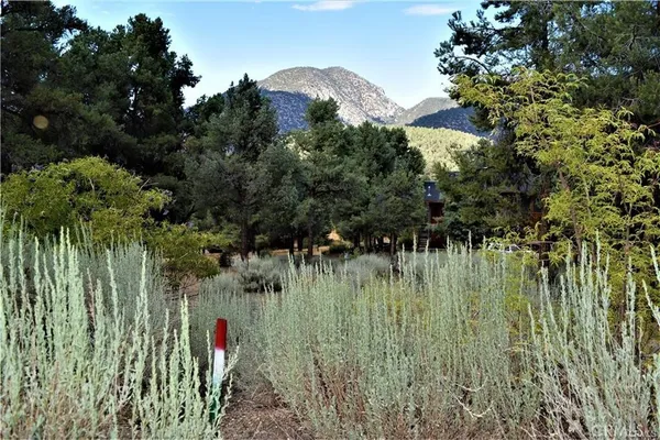 a view of a garden
