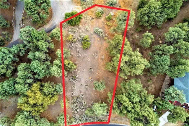 an aerial view of mountain and tree