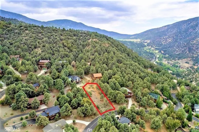 a view of a yard in front of house