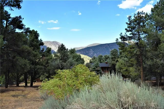 a view of a dry yard with mountains in the background