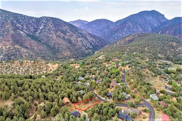 a view of a dry yard with trees