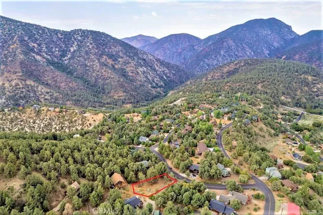 a view of a dry yard with trees