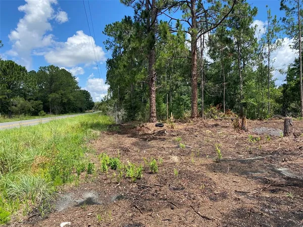 a view of outdoor space with trees all around