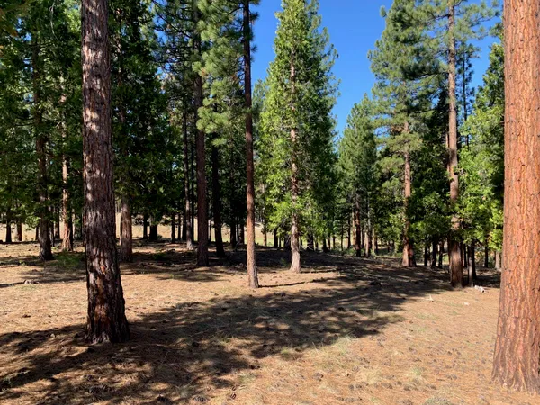 a view of road with trees