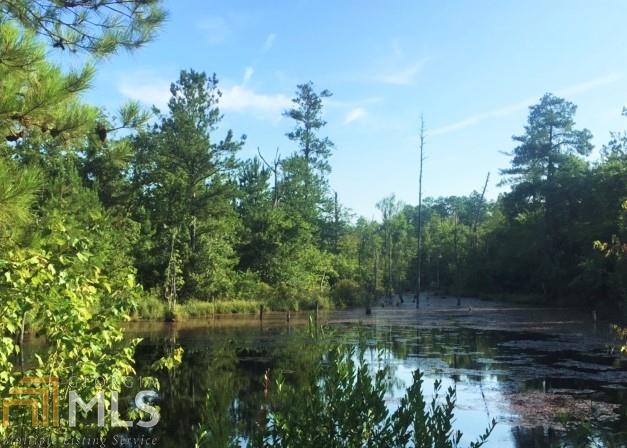 1355 Bethlehem Road Box Springs, GA 31801 - Photo 1 of 1 a view of a lake view with a garden