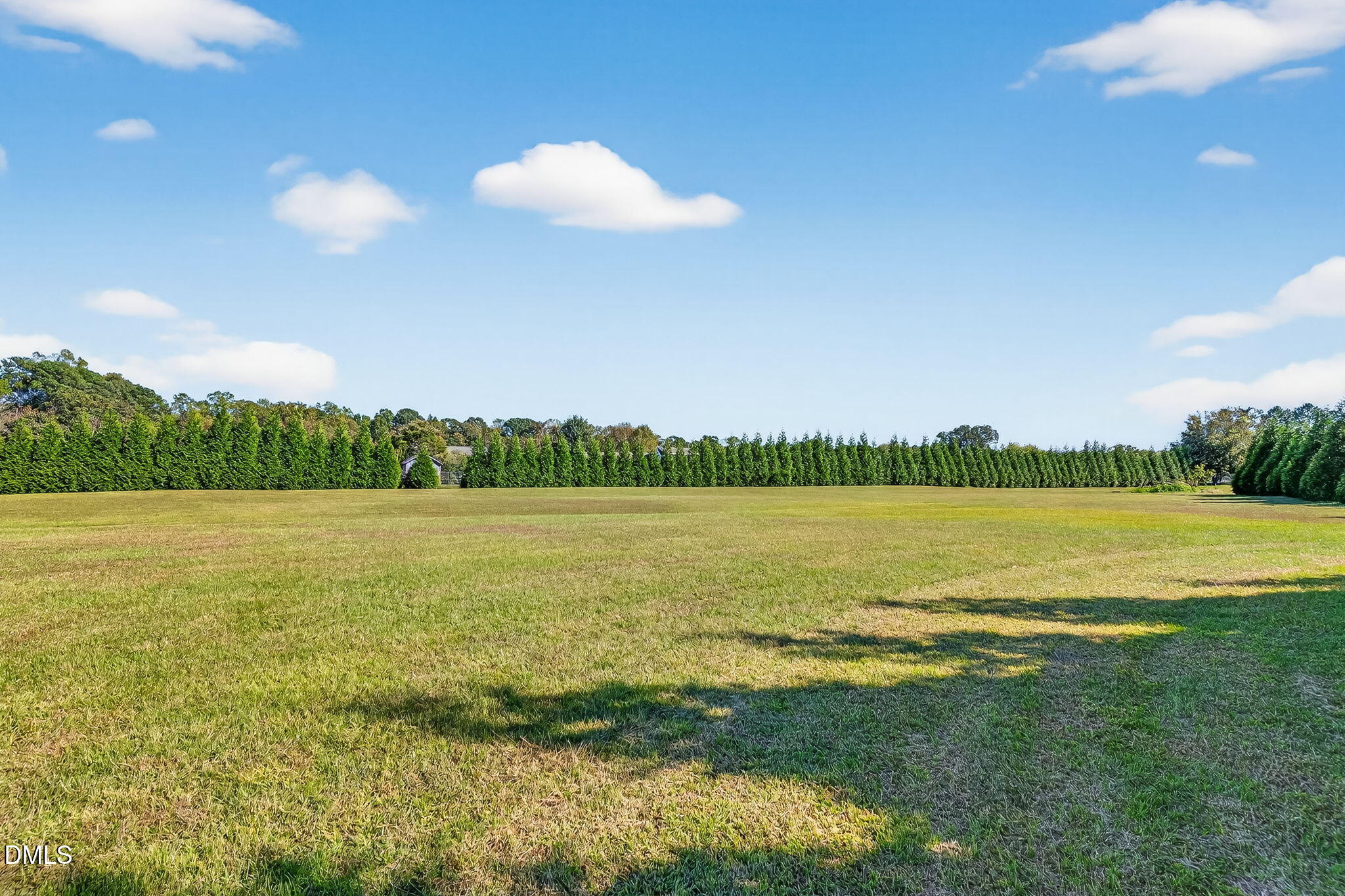 1190 Sanders Road Benson, NC 27504 - Photo 76 of 78 36-web-or-mls-_DSC4341