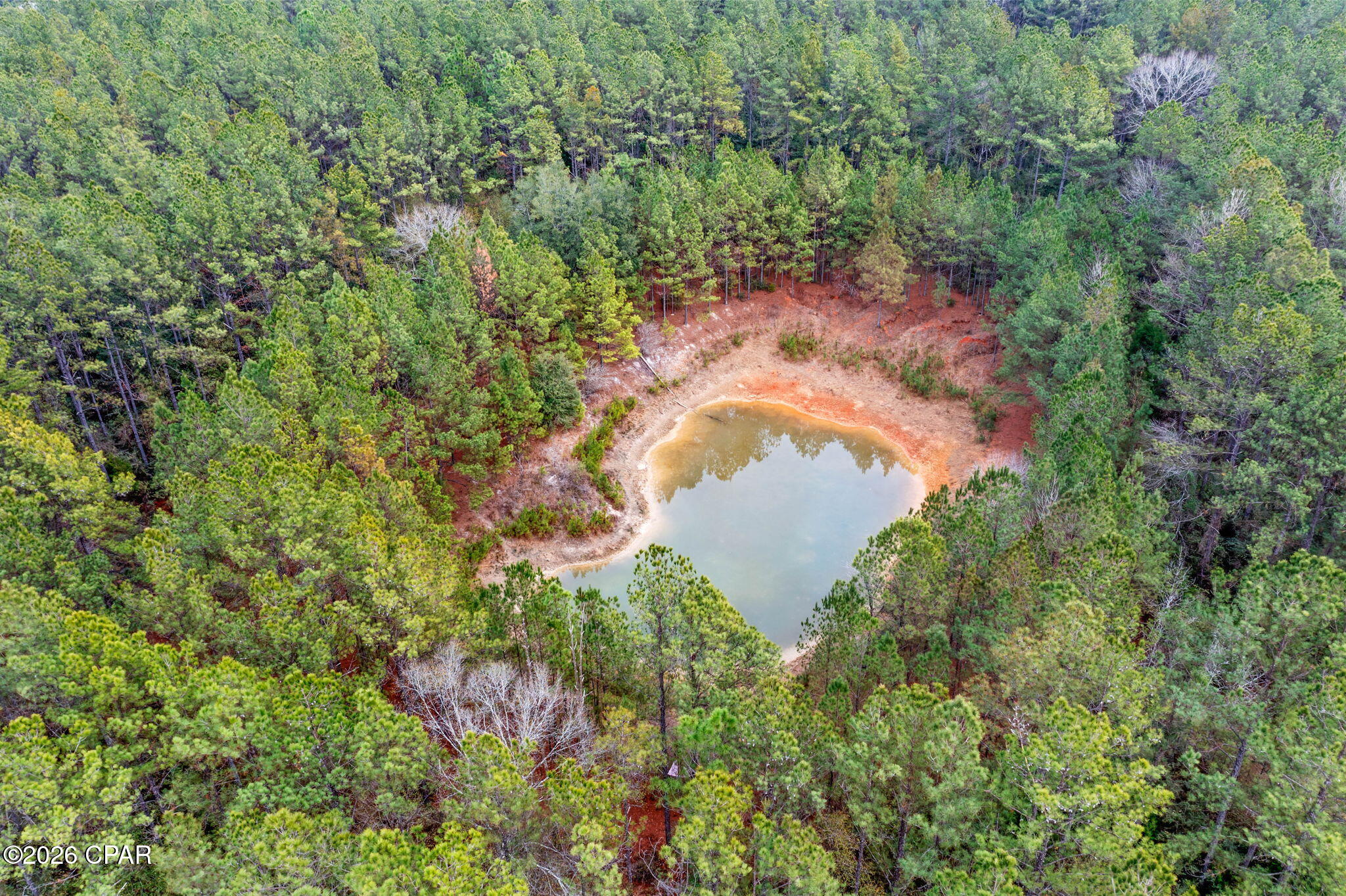 Xxx Sumac Road Westville, FL 32464 - Photo 11 of 18