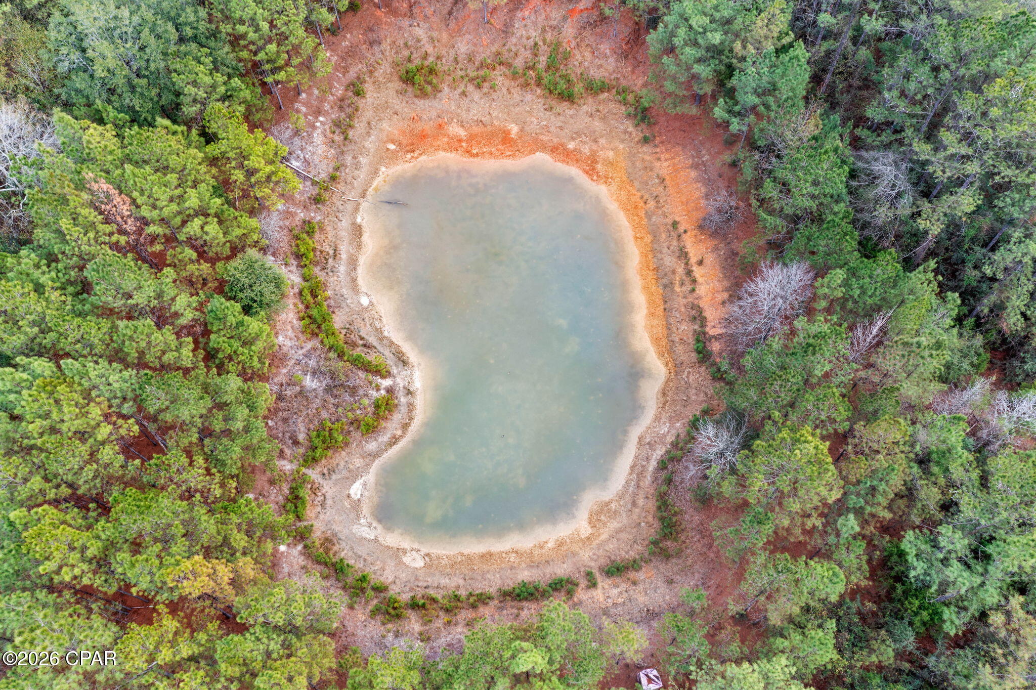 Xxx Sumac Road Westville, FL 32464 - Photo 12 of 18