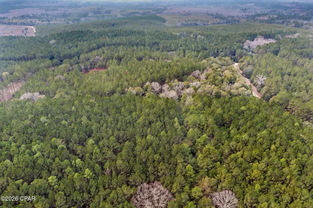 $84,999 | Xxx Sumac Road, Westville, FL 32464