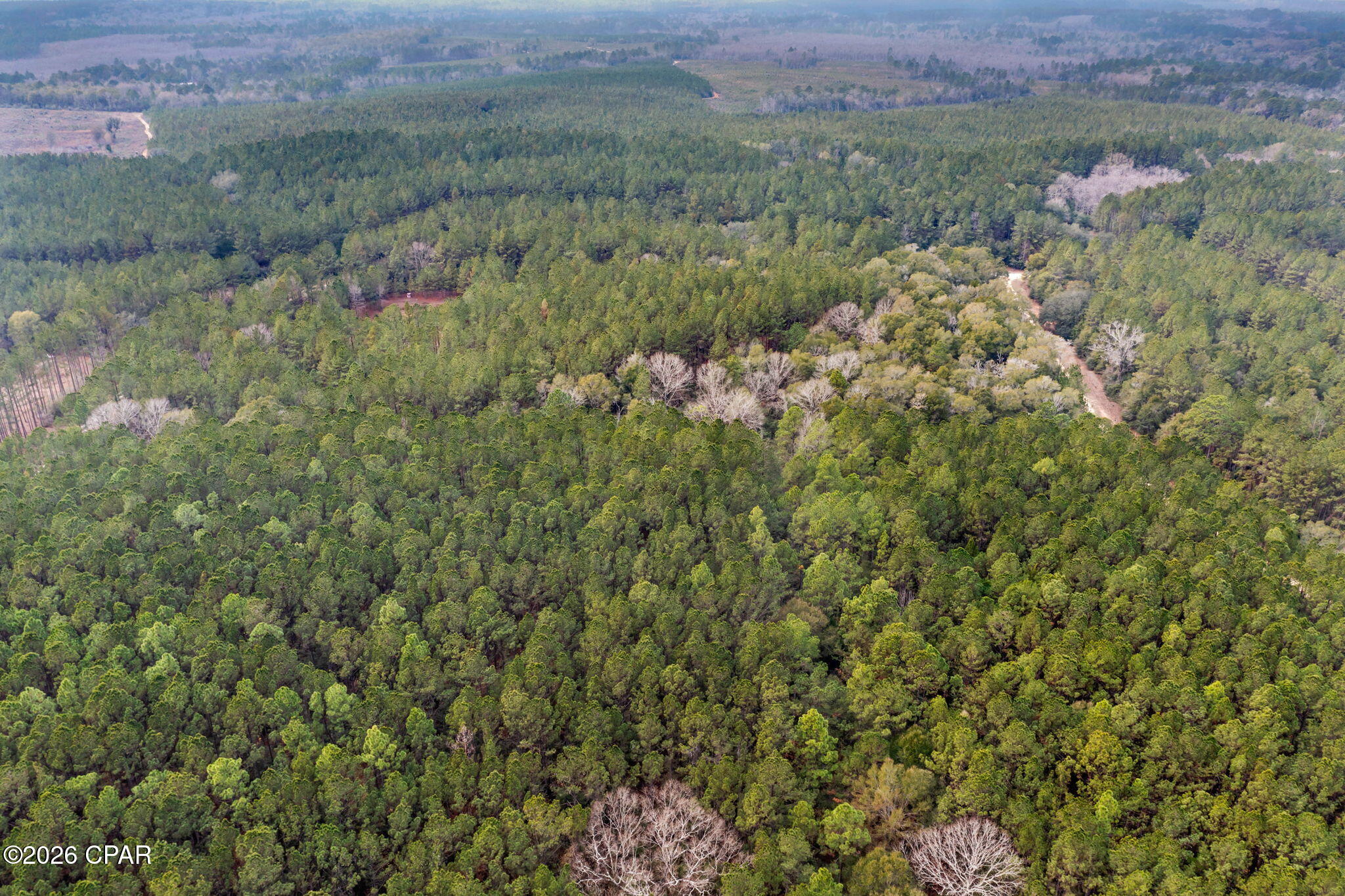 Xxx Sumac Road Westville, FL 32464 - Photo 13 of 18