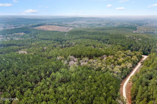 $84,999 | Xxx Sumac Road, Westville, FL 32464