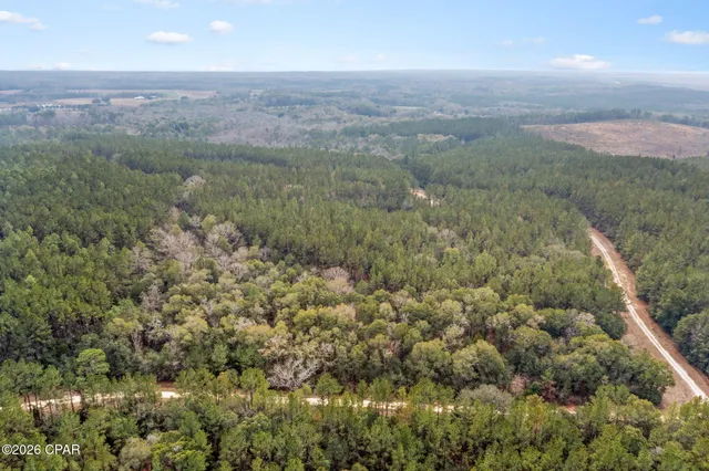 $84,999 | Xxx Sumac Road, Westville, FL 32464