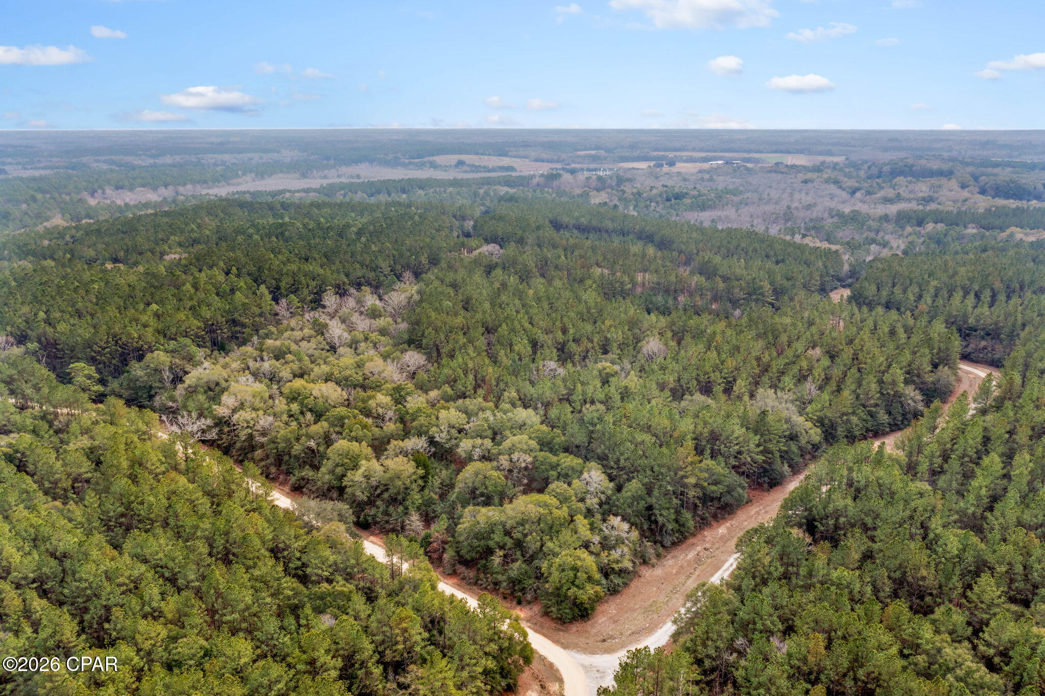 Xxx Sumac Road Westville, FL 32464 - Photo 16 of 18