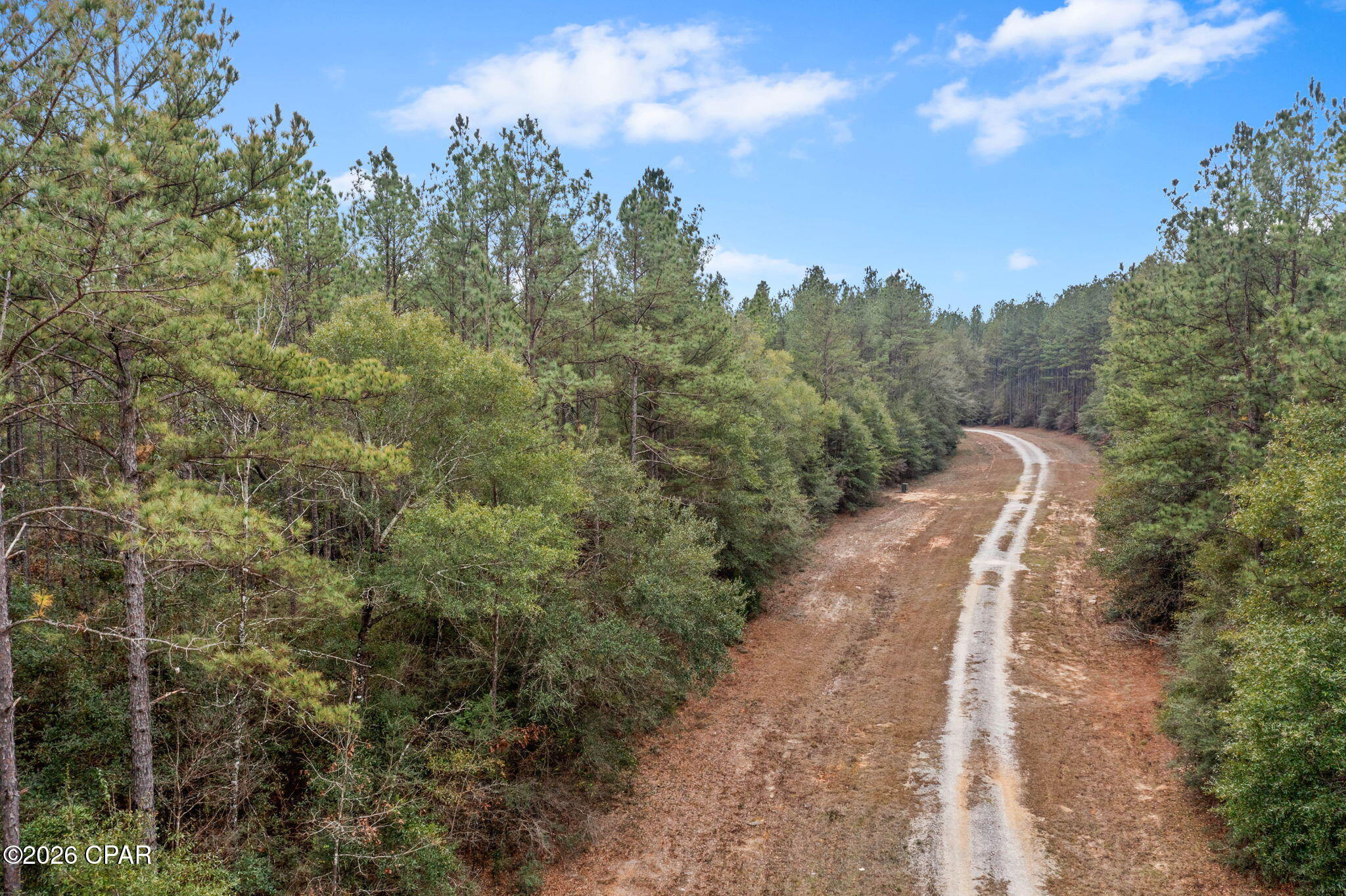 Xxx Sumac Road Westville, FL 32464 - Photo 5 of 18