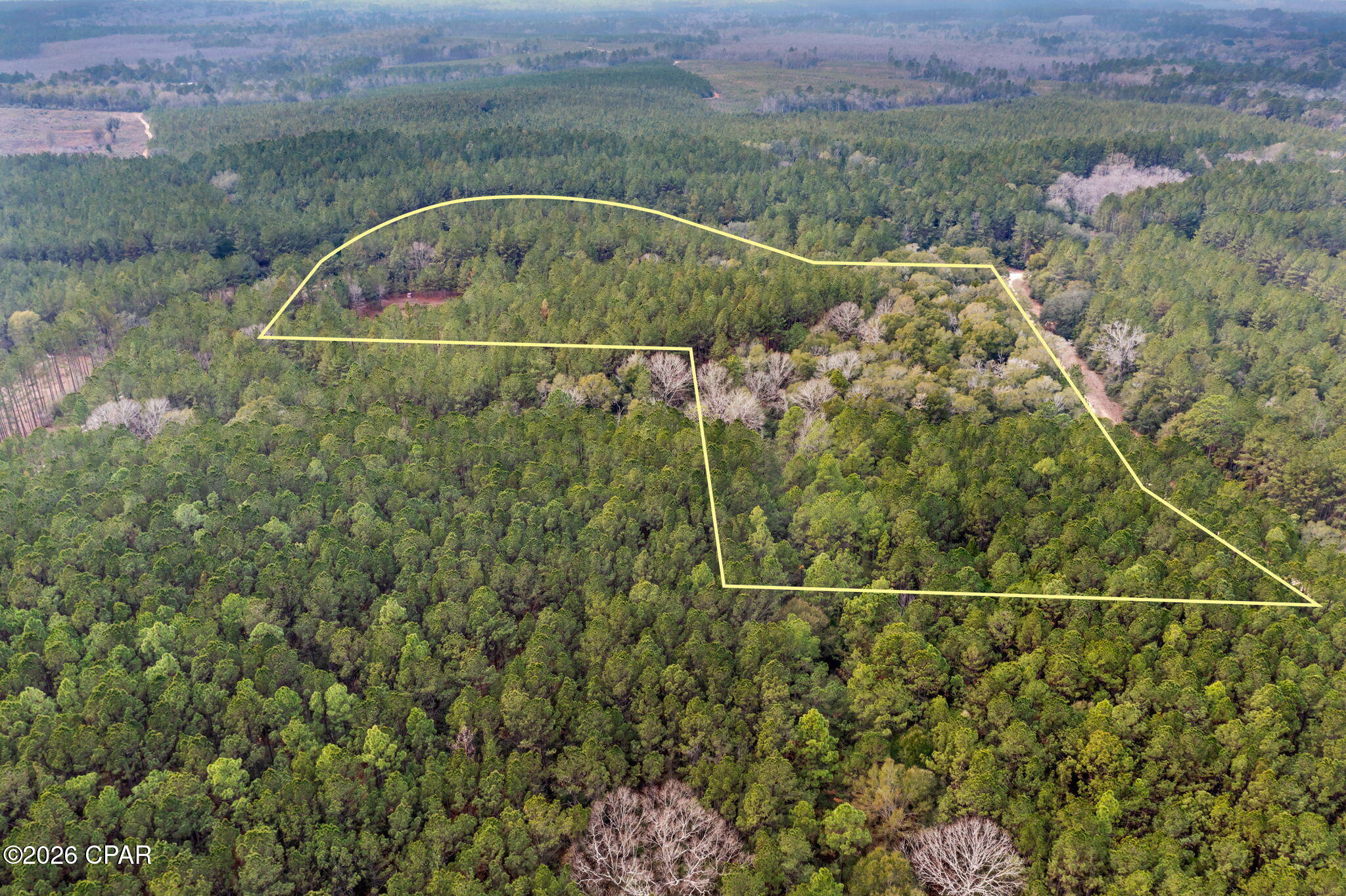 Xxx Sumac Road Westville, FL 32464 - Photo 7 of 18