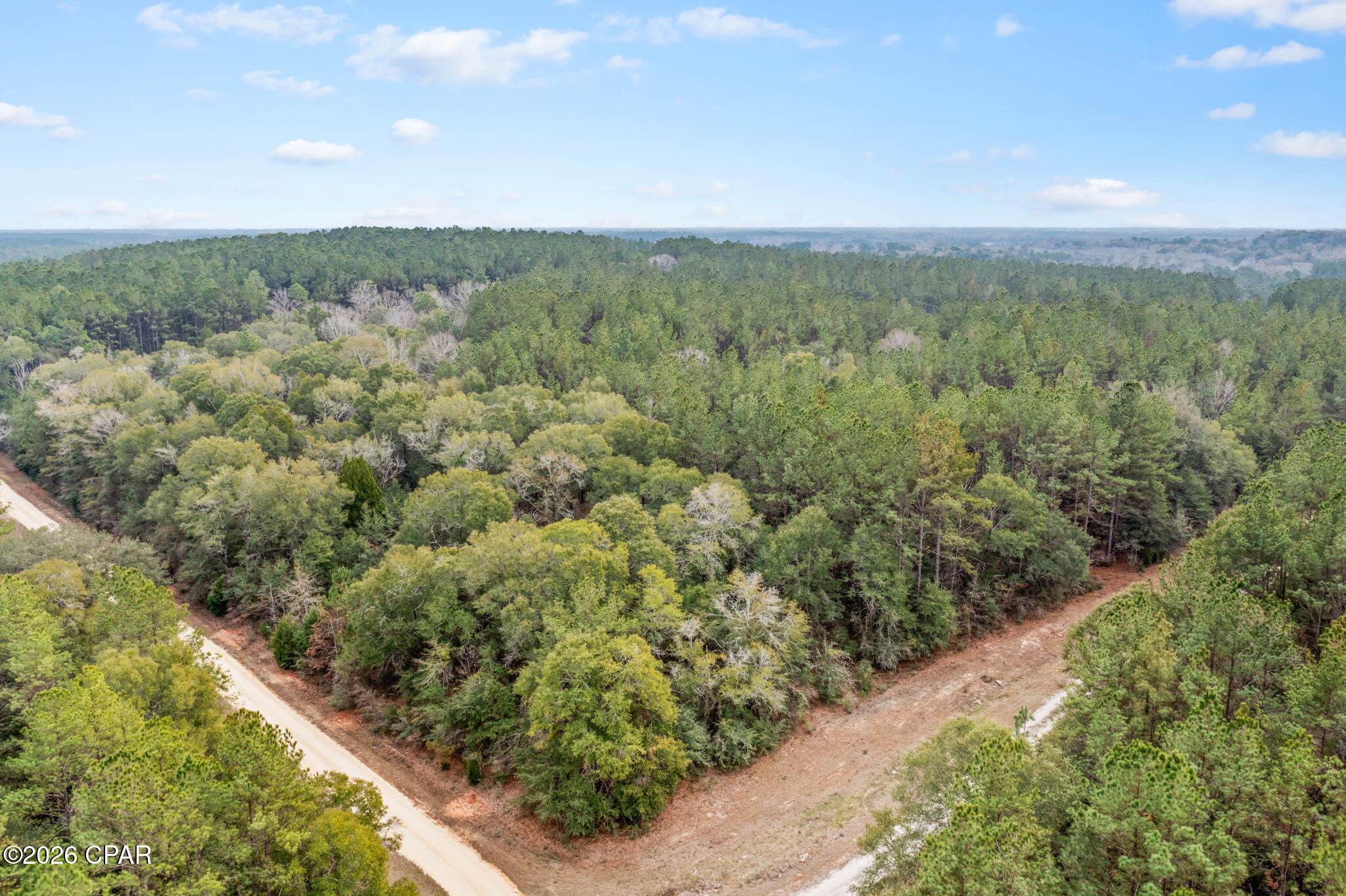 Xxx Sumac Road Westville, FL 32464 - Photo 10 of 18