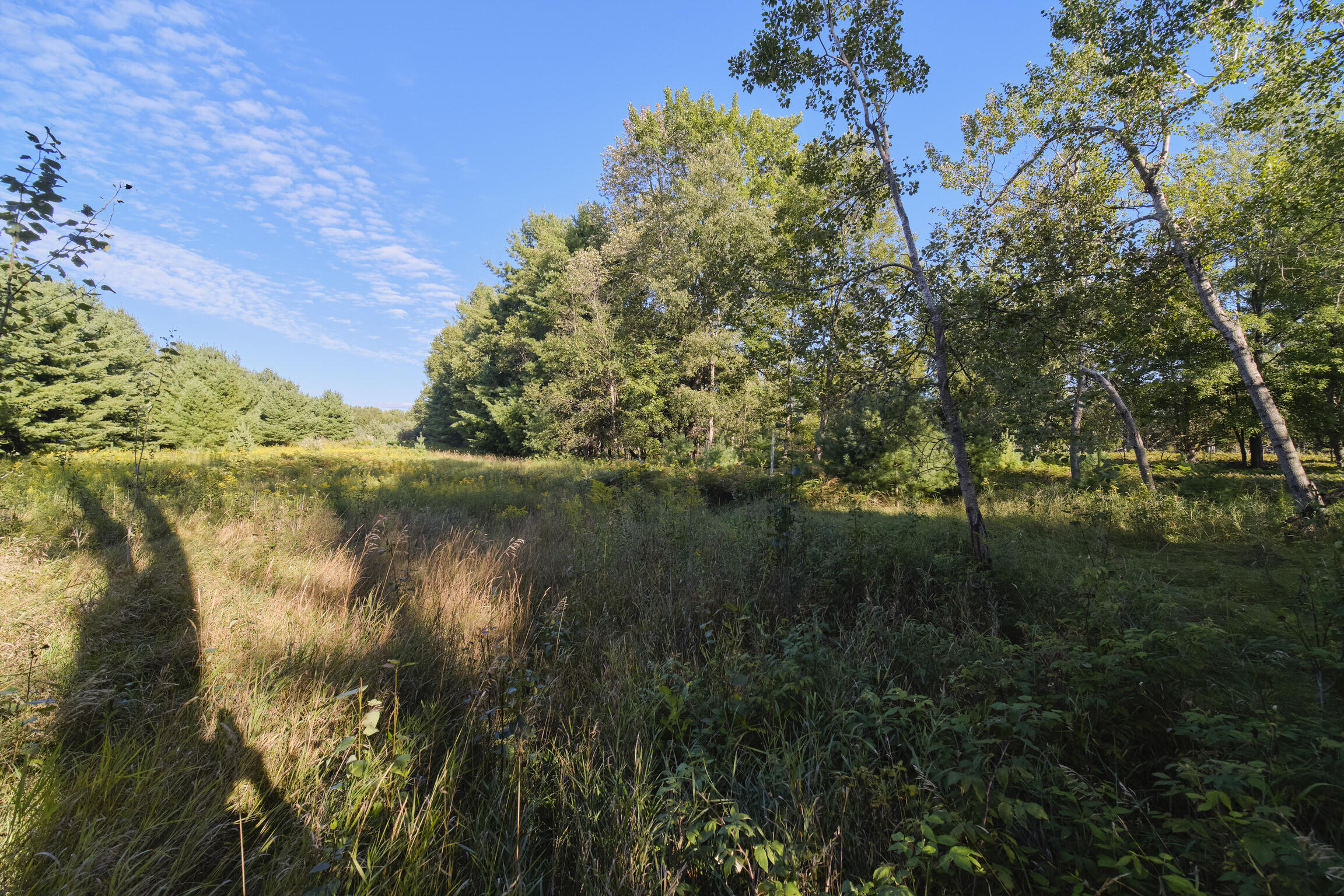 2264 Revolt Road Manistee, MI 49660 - Photo 40 of 41 Acreage