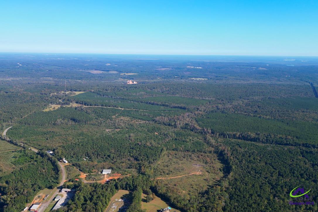 1190 Wriley Road McIntyre, GA 31054 - Photo 25 of 25