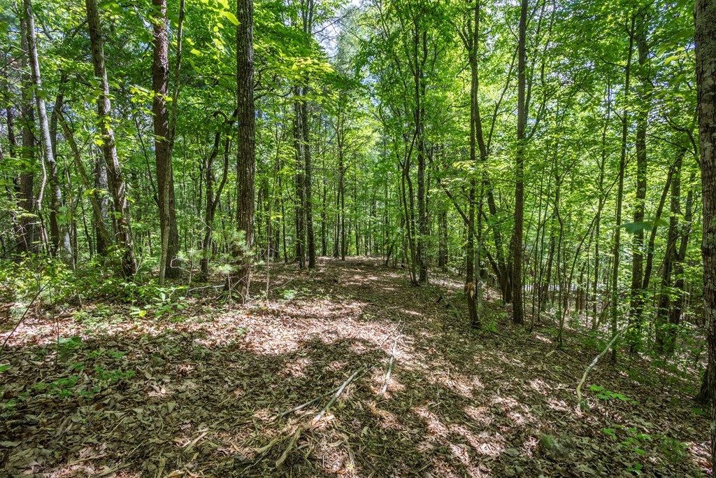 20-ac Pack Mountain Road Murphy, NC 28906 - Photo 13 of 20