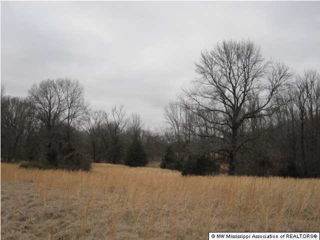 200 Ranch Road Hernando, MS 38632 - Photo 11 of 30 Additional Photo