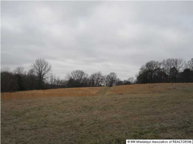 200 Ranch Road Hernando, MS 38632 - Photo 2 of 30 Additional Photo