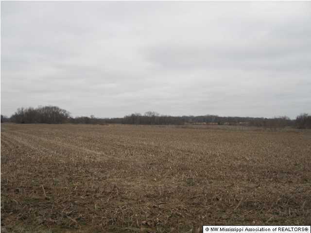200 Ranch Road Hernando, MS 38632 - Photo 26 of 30 Additional Photo